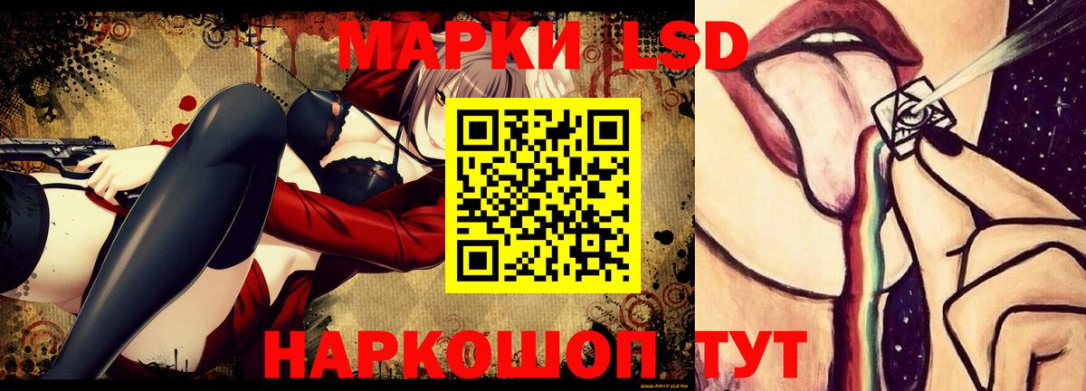мега онион  Вход с VPN  Лсд 25 экстази  LSD-25 экстази ecstasy  Бийск  Лсд 25 экстази ecstasy 