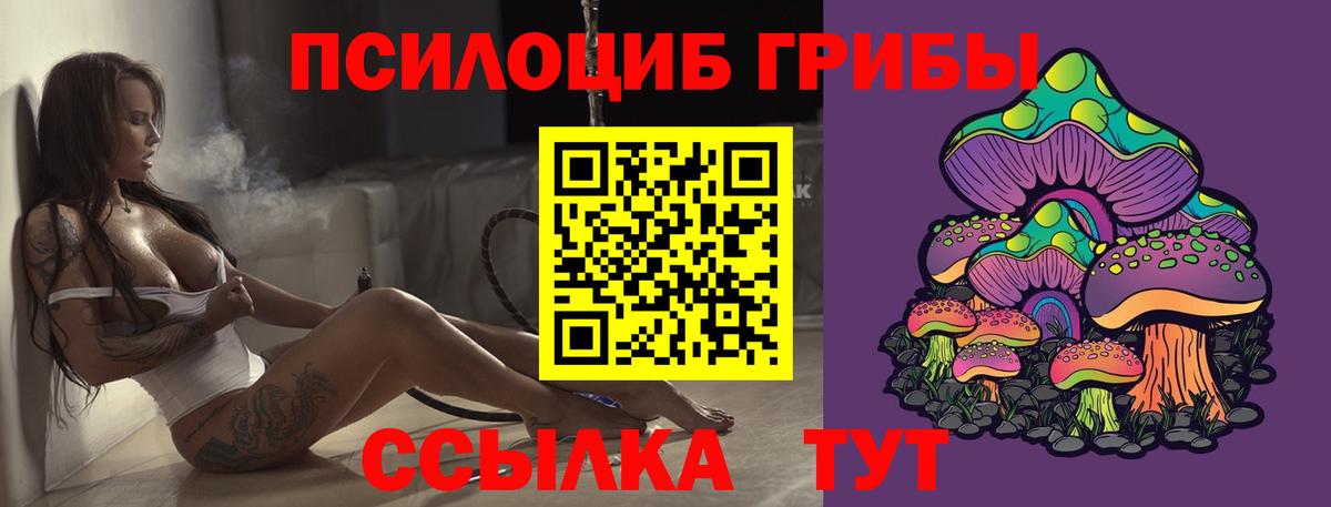 Галлюциногенные грибы Cubensis Бийск